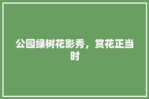 公园绿树花影秀，赏花正当时