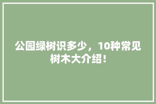 公园绿树识多少，10种常见树木大介绍！