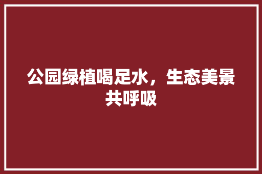 公园绿植喝足水，生态美景共呼吸