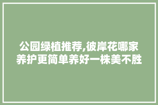 公园绿植推荐,彼岸花哪家养护更简单养好一株美不胜收！