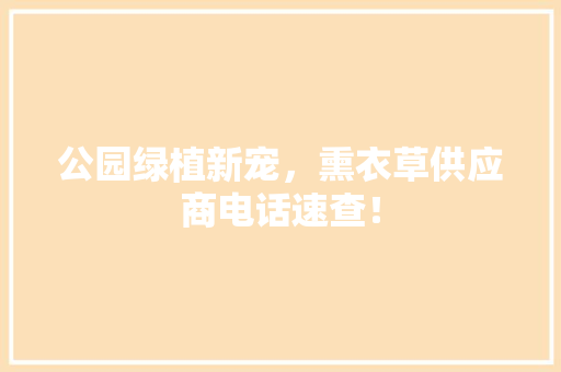公园绿植新宠，熏衣草供应商电话速查！
