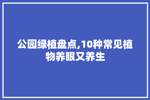 公园绿植盘点,10种常见植物养眼又养生