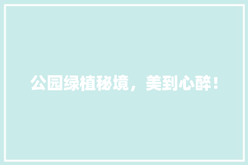 公园绿植秘境，美到心醉！