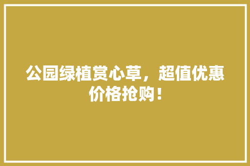 公园绿植赏心草，超值优惠价格抢购！