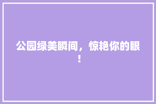 公园绿美瞬间，惊艳你的眼！