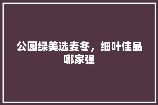 公园绿美选麦冬，细叶佳品哪家强