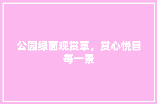 公园绿茵观赏草，赏心悦目每一景