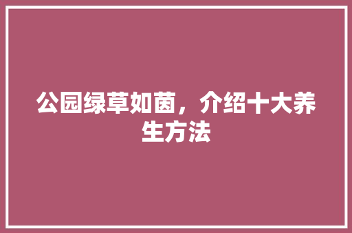 公园绿草如茵，介绍十大养生方法