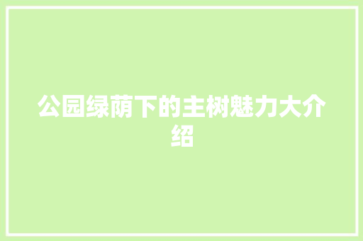 公园绿荫下的主树魅力大介绍