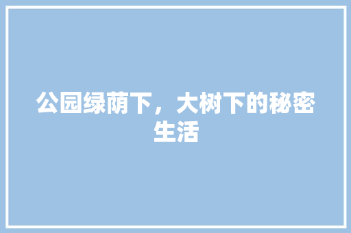 公园绿荫下，大树下的秘密生活