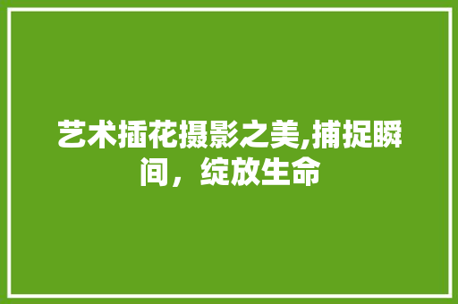 艺术插花摄影之美,捕捉瞬间，绽放生命
