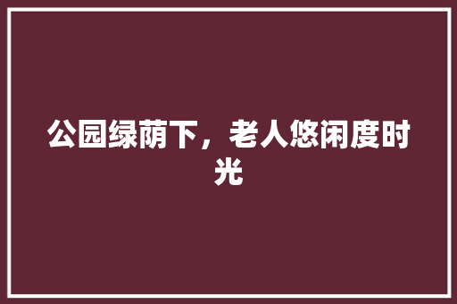 公园绿荫下，老人悠闲度时光