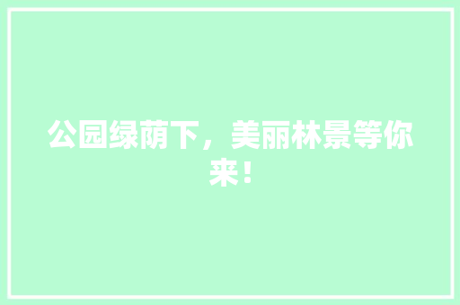 公园绿荫下，美丽林景等你来！