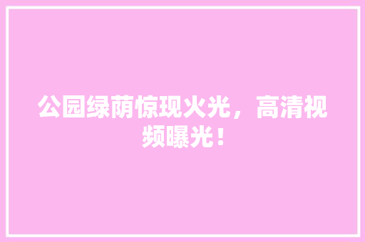 公园绿荫惊现火光，高清视频曝光！