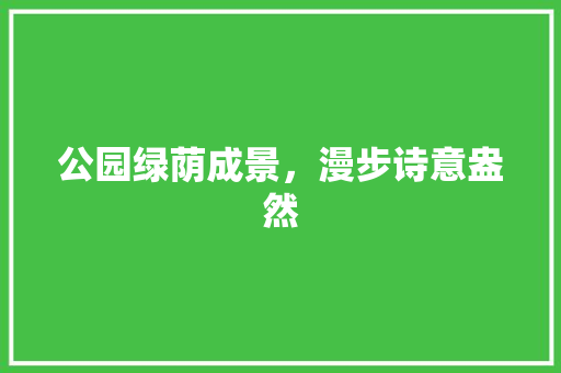 公园绿荫成景，漫步诗意盎然