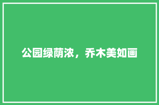 公园绿荫浓，乔木美如画