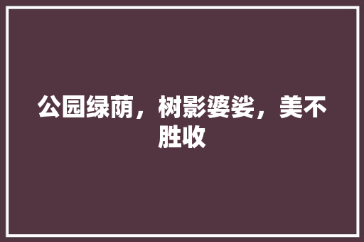 公园绿荫，树影婆娑，美不胜收