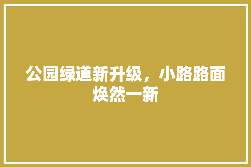 公园绿道新升级，小路路面焕然一新