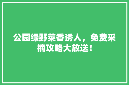 公园绿野菜香诱人，免费采摘攻略大放送！