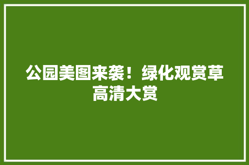 公园美图来袭！绿化观赏草高清大赏