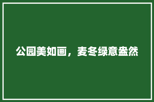 公园美如画，麦冬绿意盎然