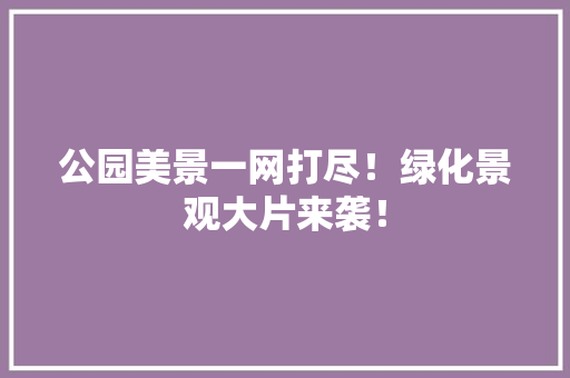 公园美景一网打尽！绿化景观大片来袭！