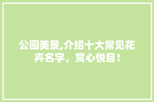 公园美景,介绍十大常见花卉名字，赏心悦目！