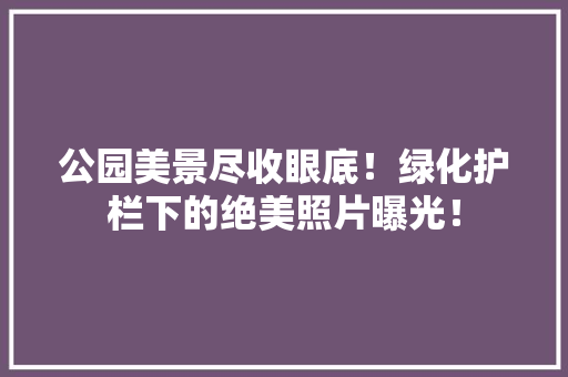 公园美景尽收眼底！绿化护栏下的绝美照片曝光！