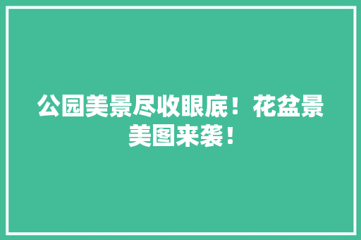 公园美景尽收眼底！花盆景美图来袭！ 嫁接育苗