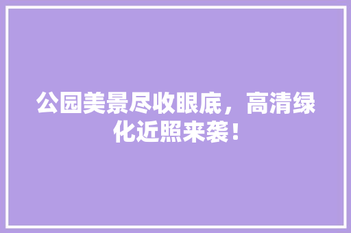 公园美景尽收眼底，高清绿化近照来袭！