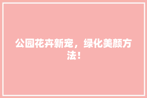 公园花卉新宠，绿化美颜方法！