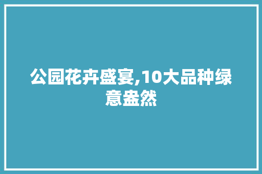 公园花卉盛宴,10大品种绿意盎然