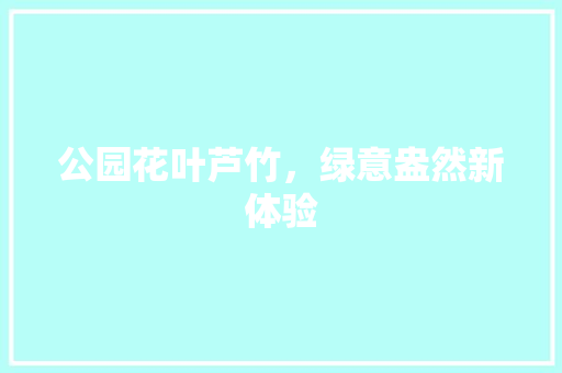 公园花叶芦竹，绿意盎然新体验