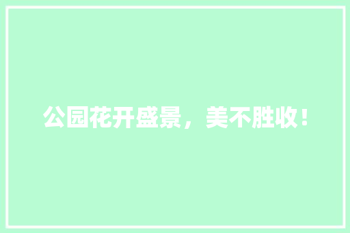 公园花开盛景，美不胜收！