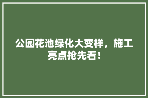 公园花池绿化大变样，施工亮点抢先看！