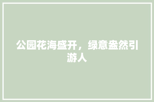 公园花海盛开，绿意盎然引游人