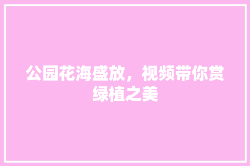 公园花海盛放，视频带你赏绿植之美
