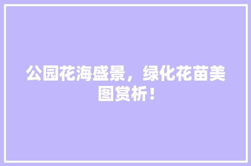 公园花海盛景，绿化花苗美图赏析！