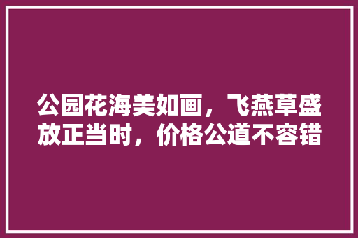 公园花海美如画，飞燕草盛放正当时，价格公道不容错过