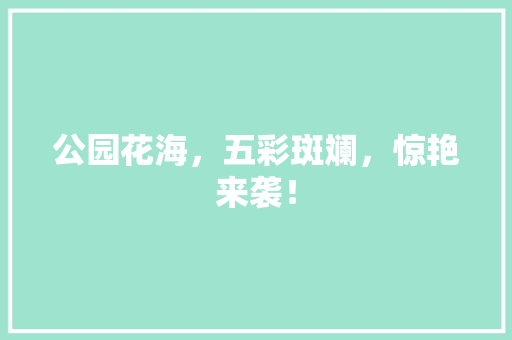 公园花海，五彩斑斓，惊艳来袭！