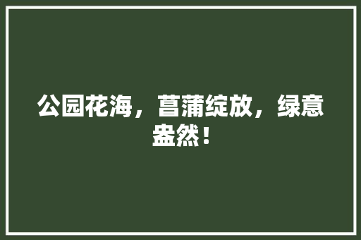 公园花海，菖蒲绽放，绿意盎然！