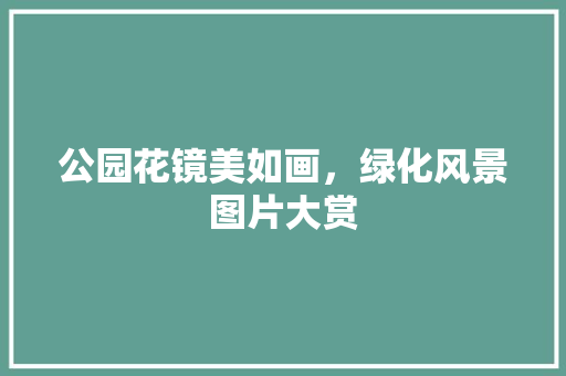 公园花镜美如画，绿化风景图片大赏 花卉育苗