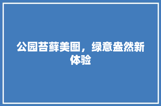 公园苔藓美图，绿意盎然新体验