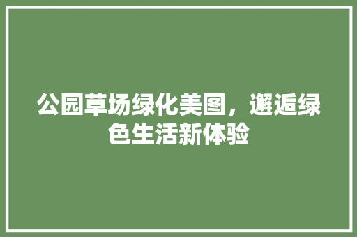 公园草场绿化美图，邂逅绿色生活新体验