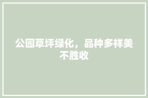 公园草坪绿化，品种多样美不胜收