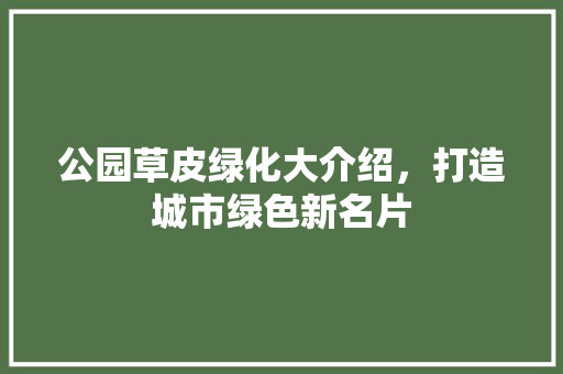 公园草皮绿化大介绍，打造城市绿色新名片