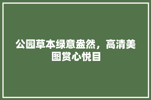 公园草本绿意盎然，高清美图赏心悦目