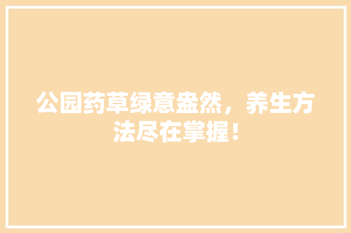 公园药草绿意盎然，养生方法尽在掌握！