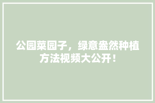 公园菜园子，绿意盎然种植方法视频大公开！