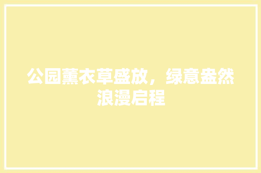 公园薰衣草盛放，绿意盎然浪漫启程